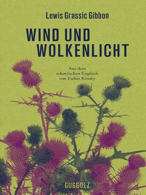 cover image of Wind und Wolkenlicht